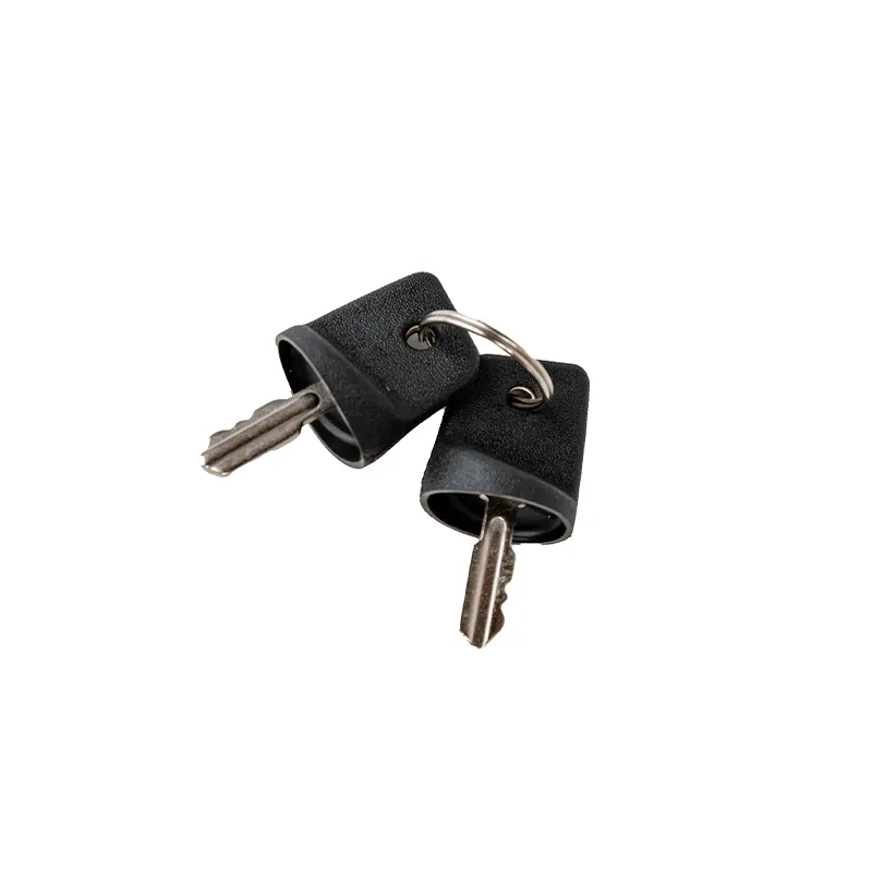 2 Pack Safety Keys 1