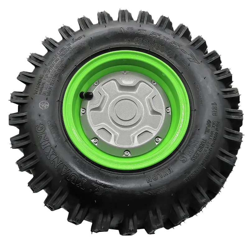 Right Wheel Hub Motor Assembly 1