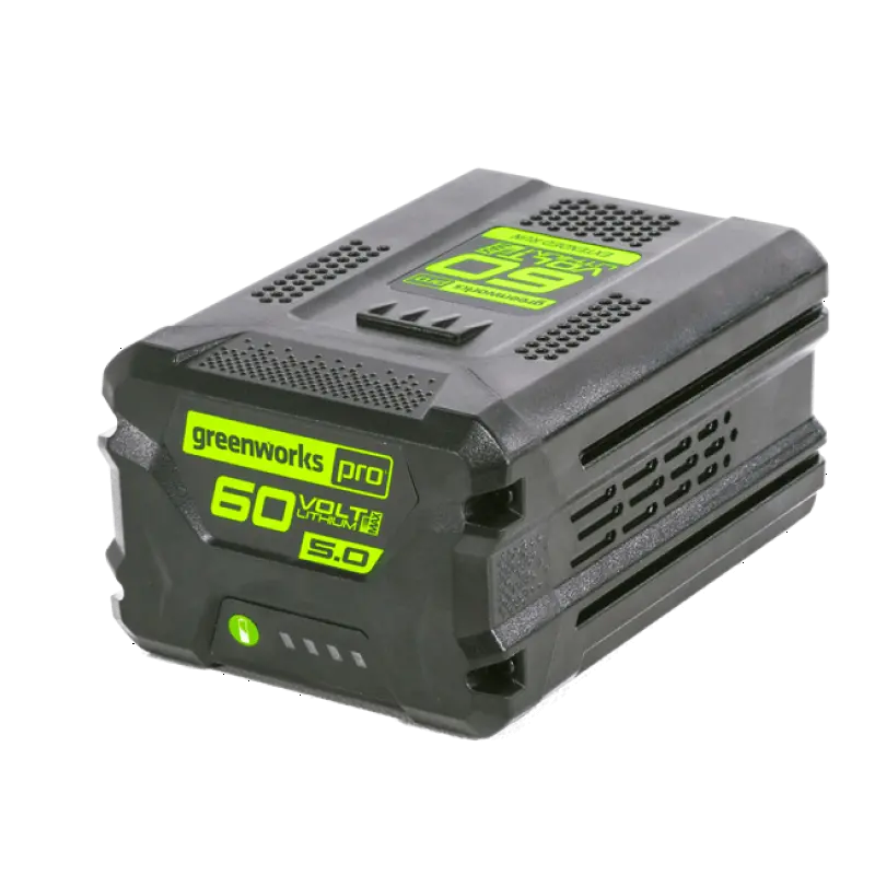 60V 5.0Ah Lithium-Ion Battery 1