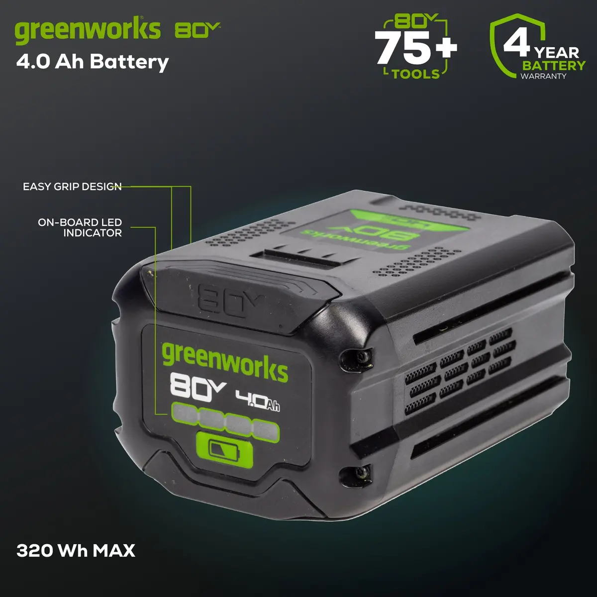 80V (2) 4.0Ah Batteries & Dual Port Charger Combo Kit 2