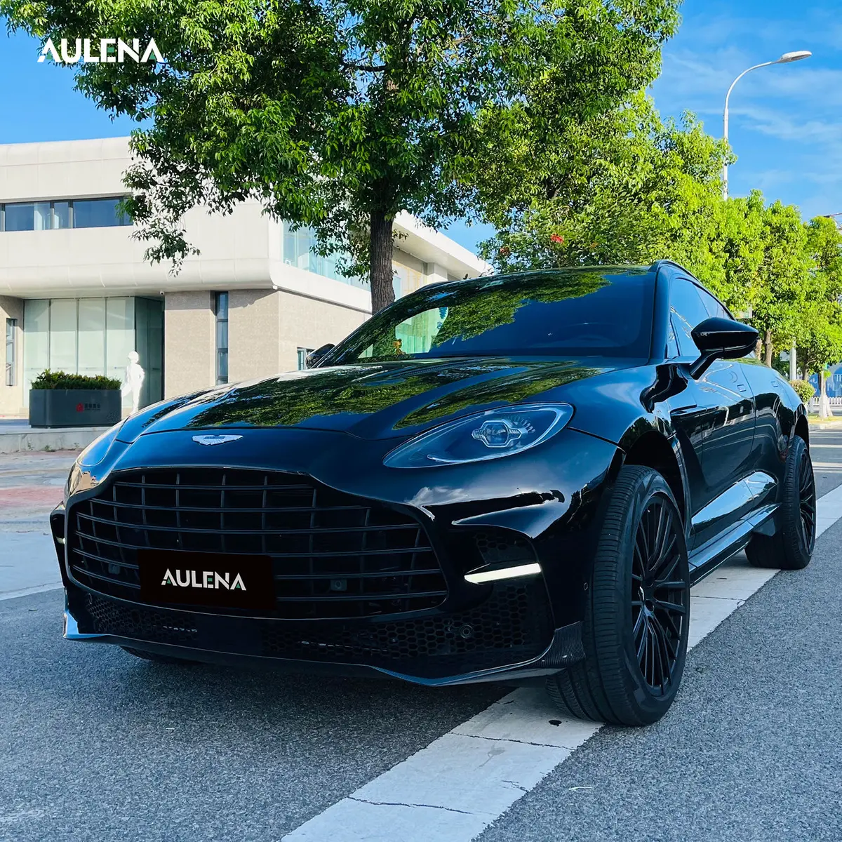 Aston Martin Dbx -707 Aulena Design Dry Carbon Performance Body Kit 1