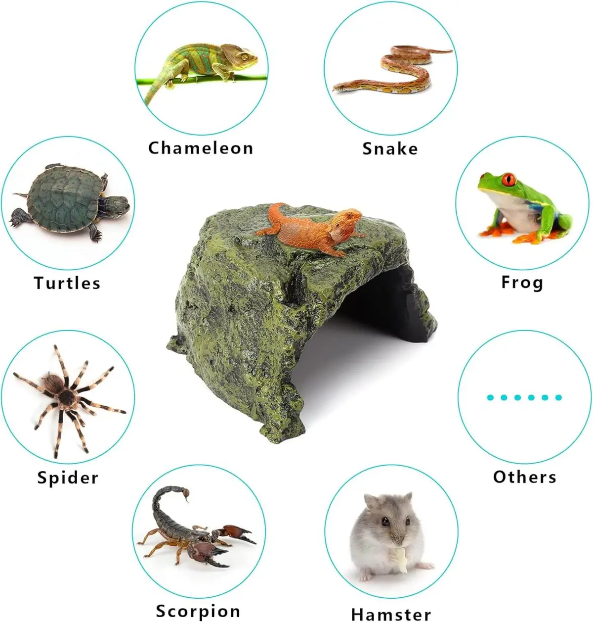 Reptile Rock Hide Cave - World 9.99 Mall Reptile Rock Hide Habitat Decoration - 10L0l 2