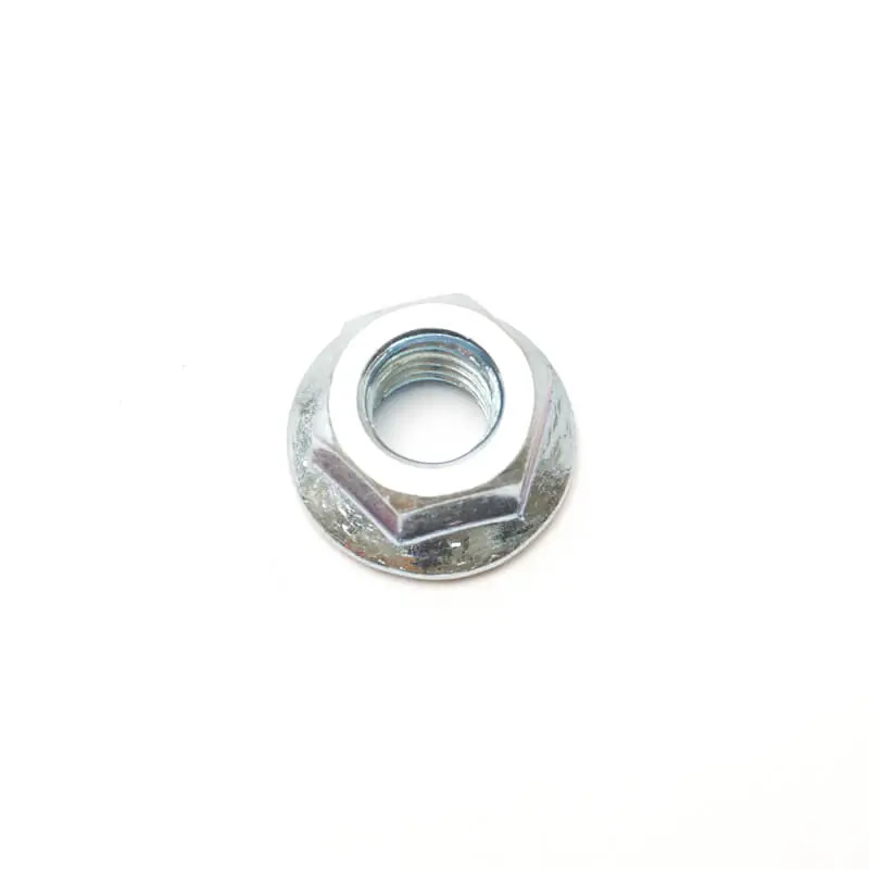 Chain Cover Lock Nuts 1