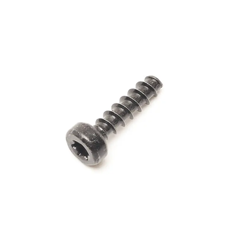 Replacement Screw 1