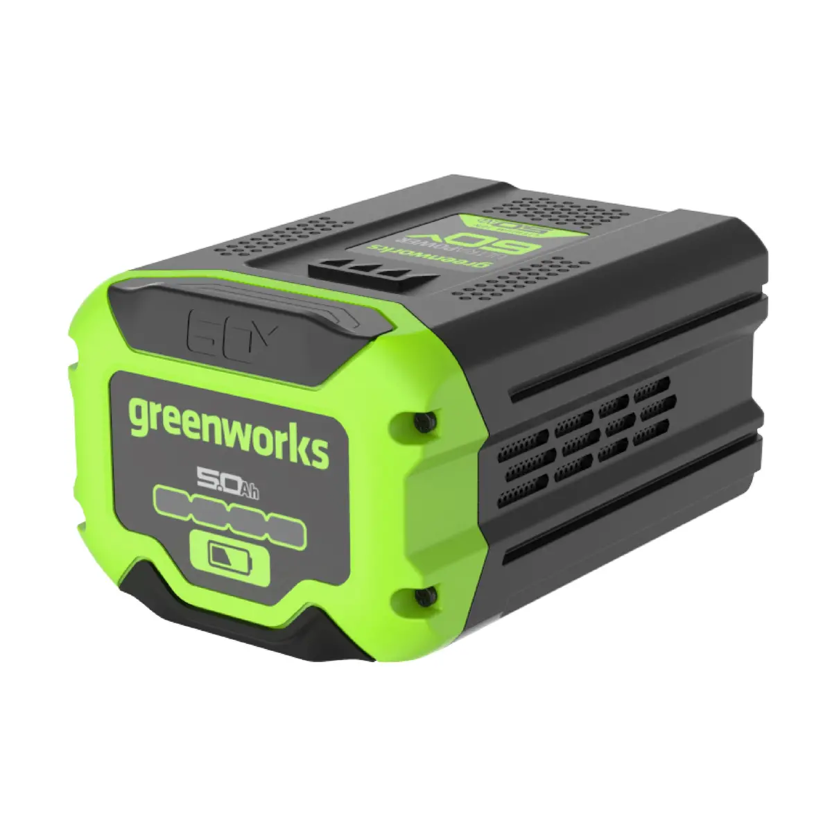 60V 5.0Ah Bluetooth Battery 1