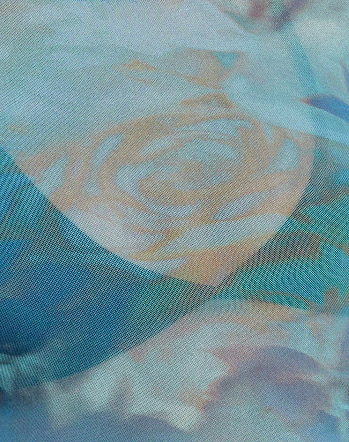 Elijah Crop Top In Digi Petal Blue 6