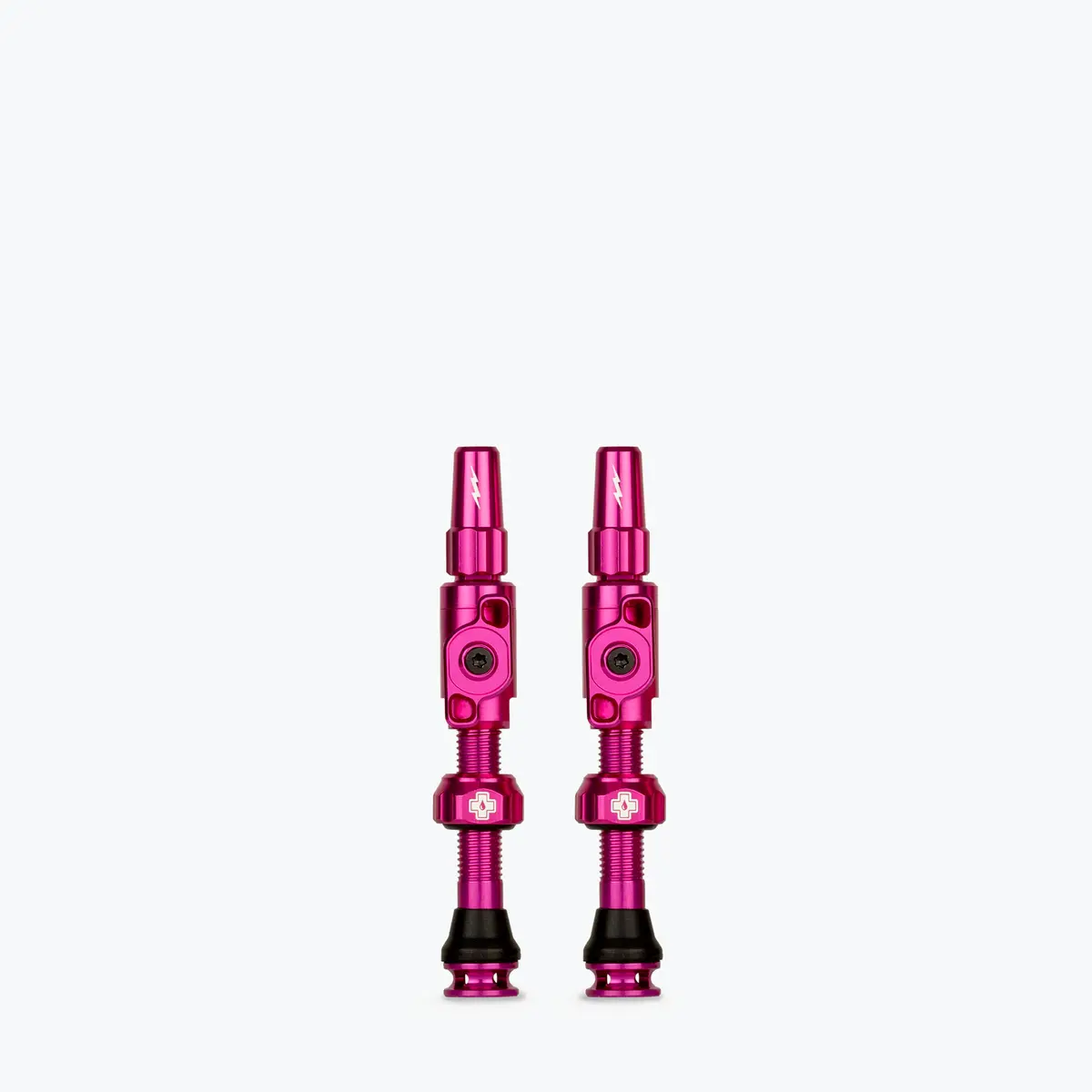 Big Bore Lite Tubeless Valves 24