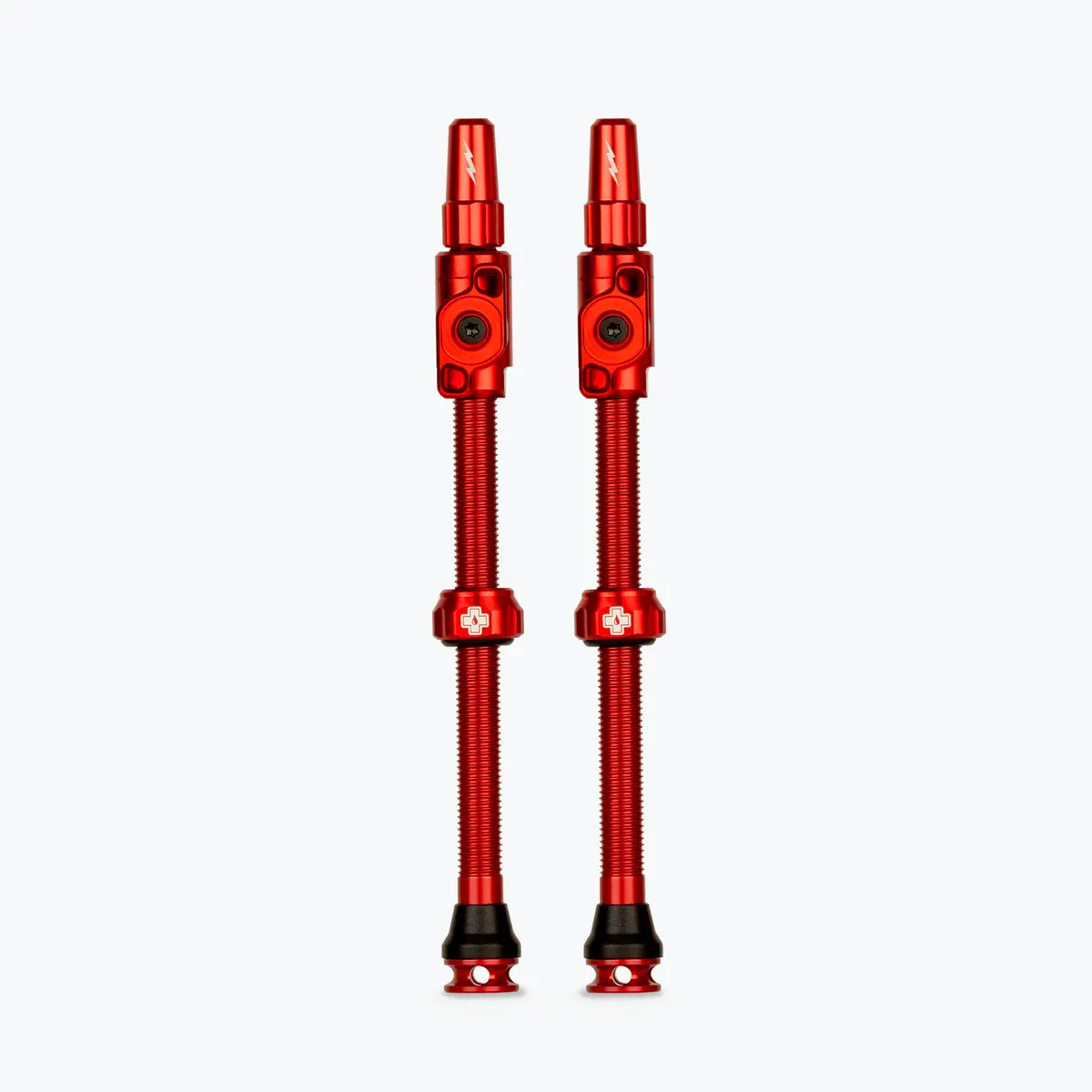 Big Bore Lite Tubeless Valves 29