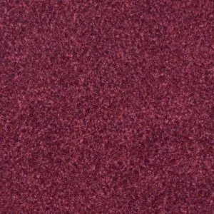 Golden Technologies- Ez Sleeper With Twilight-Pr761ml 5
