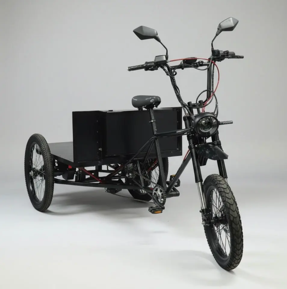 Electric Flatbed Cargo Pedicab - Class 2 E-Bike 1