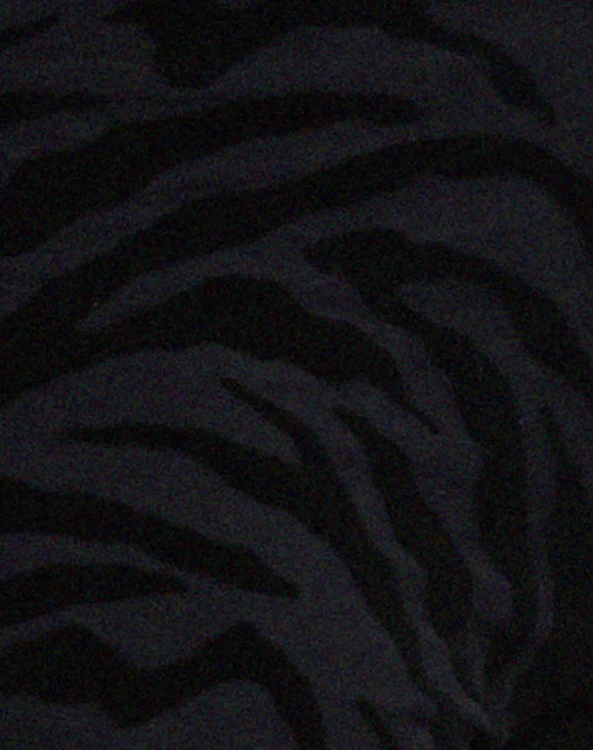Nancha Flare Trouser In Zebra Flock Black 6