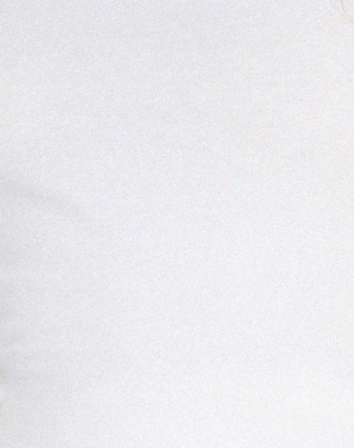 Pico Bardot Top In White 5