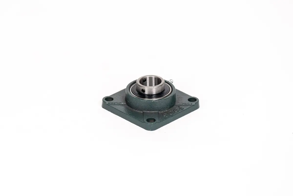 Xion Pedicab Rear Bearings 1