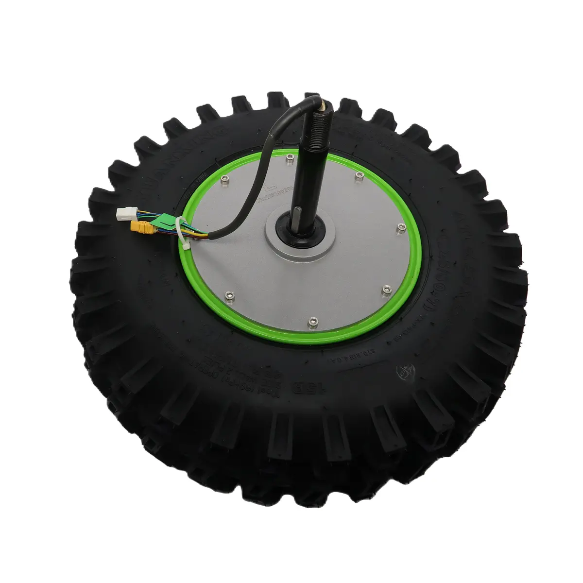 Left Wheel Hub Motor Assembly 1