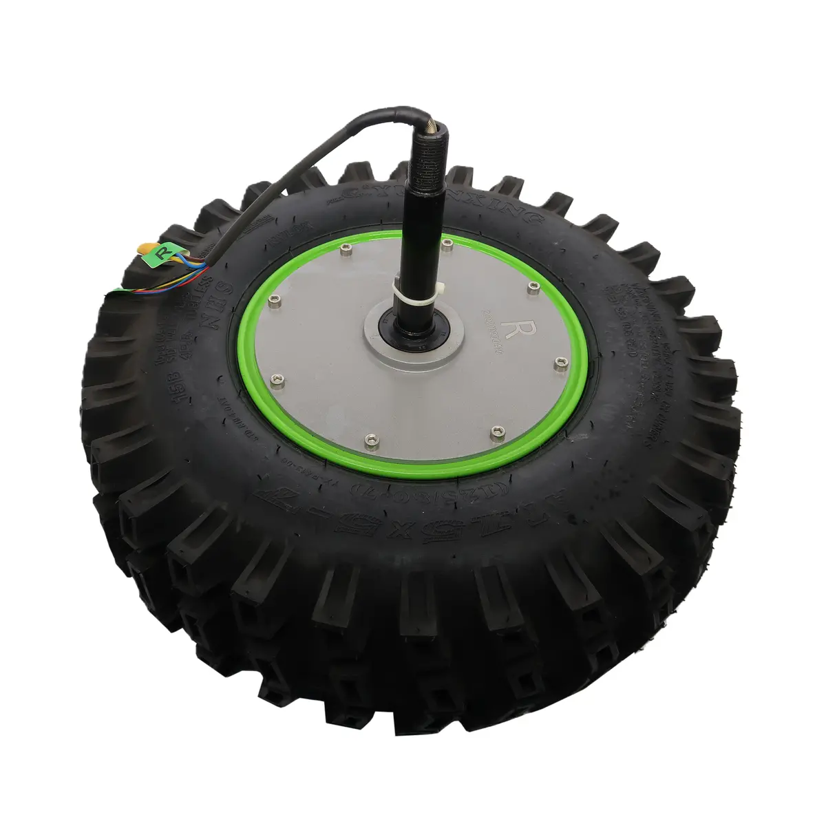 Right Wheel Hub Motor Assembly 1