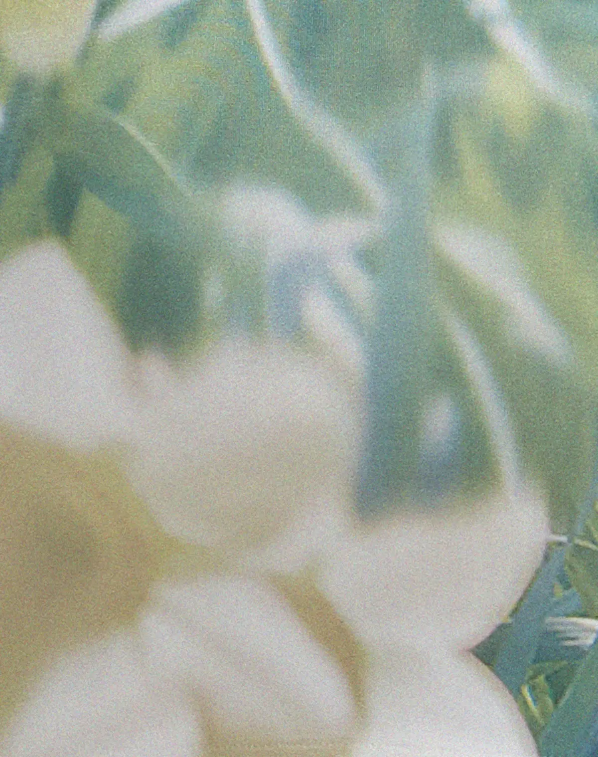 Saleh Mini Dress In Digi Flower 6