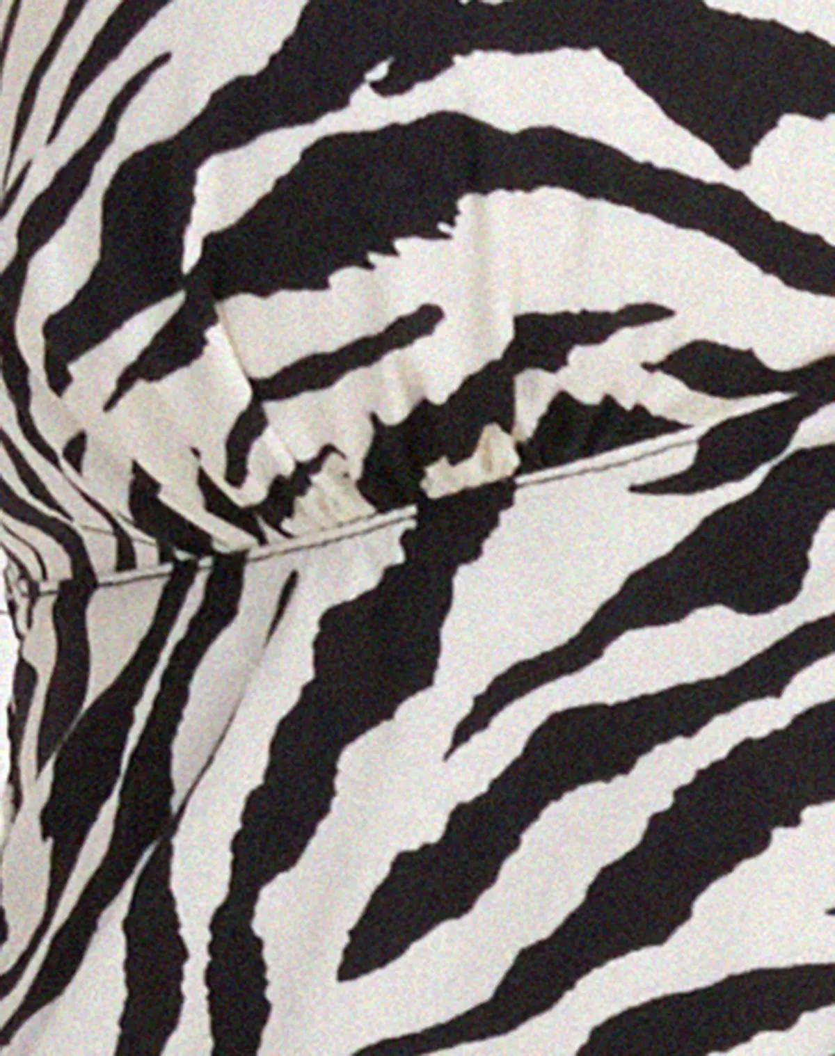 Roula Halter Top In 90'S Zebra Black And White 5