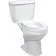 Basic Raised Toilet Seat 2
