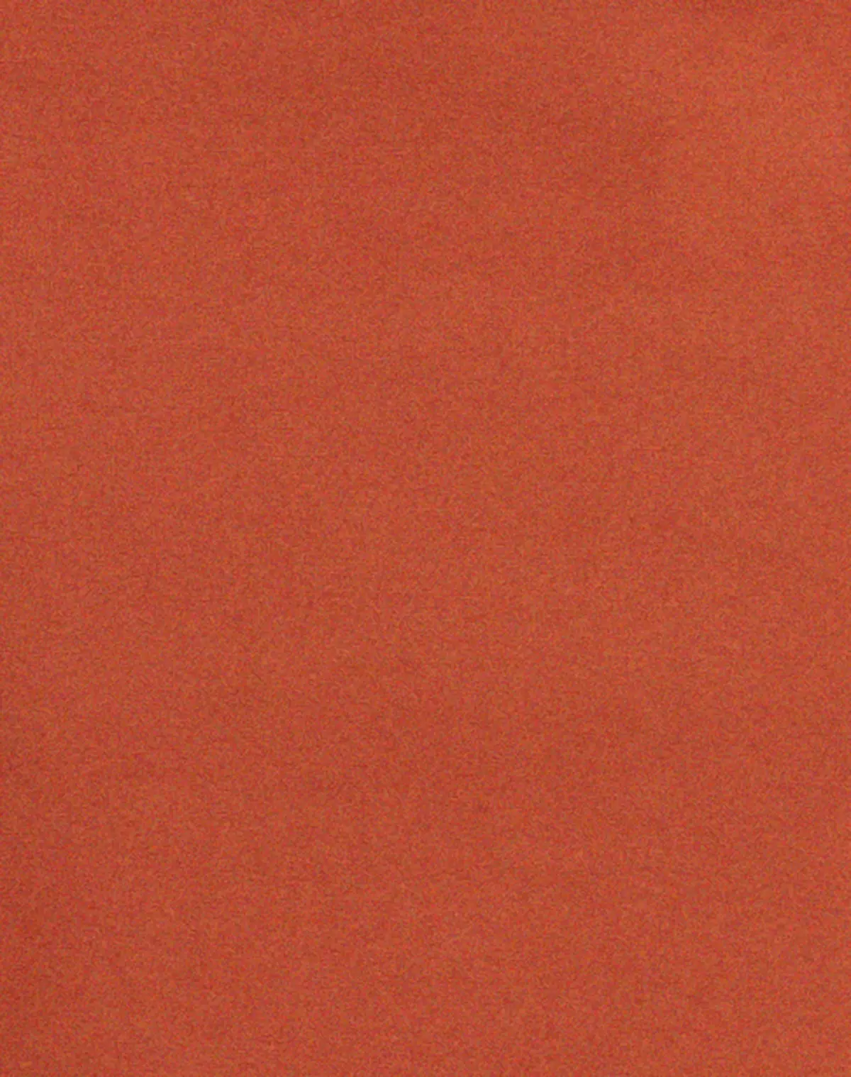Steira Midi Skirt In Spice 5