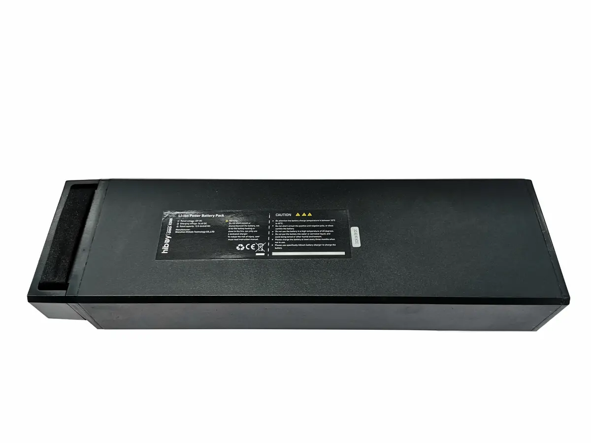 Hiboy X300 Battery 1