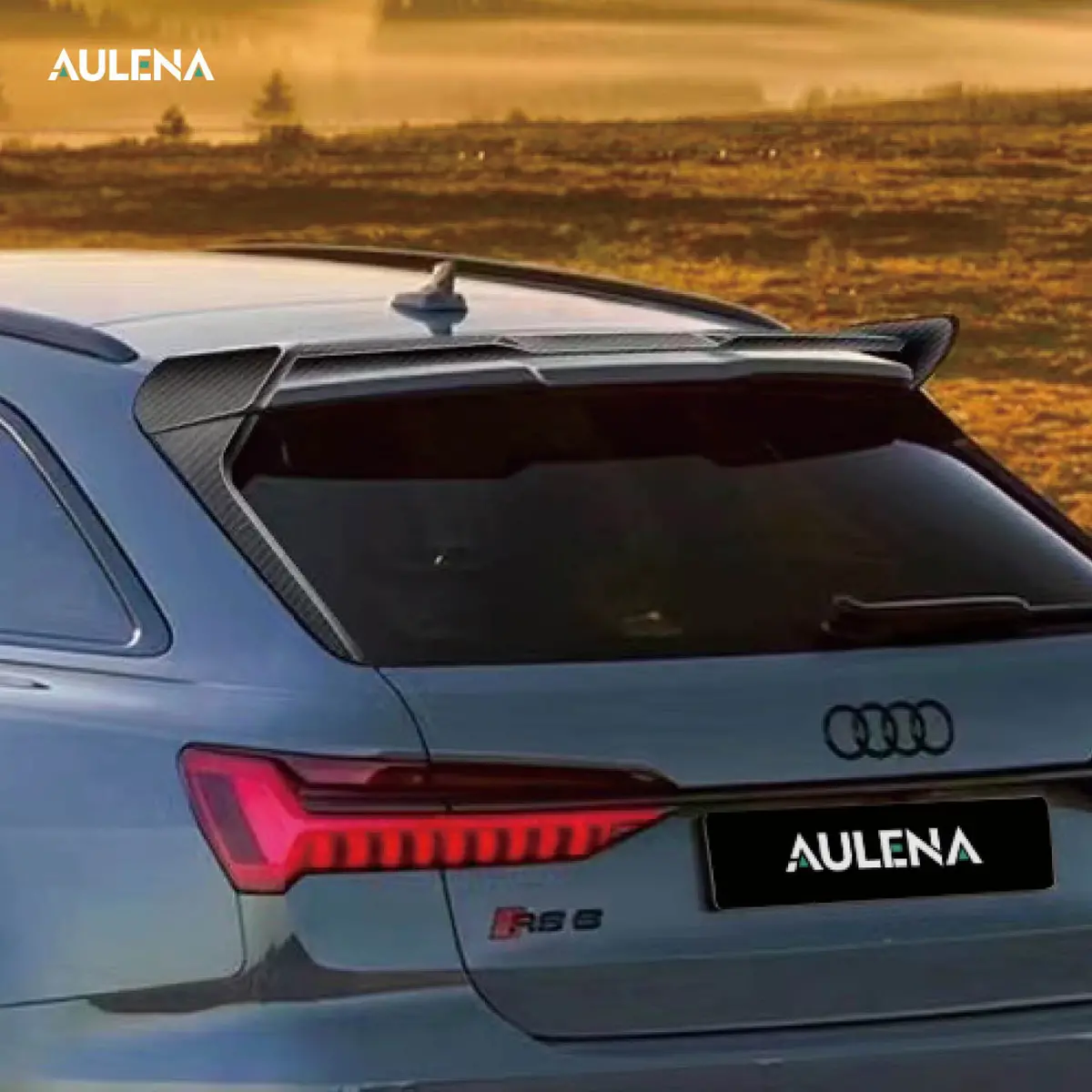Audi Rs6 Aulena Rear Spoiler 1