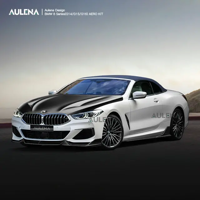 Bmw 8 Series(G14) Aulena Design Dry Carbon Performance Body Kit 1