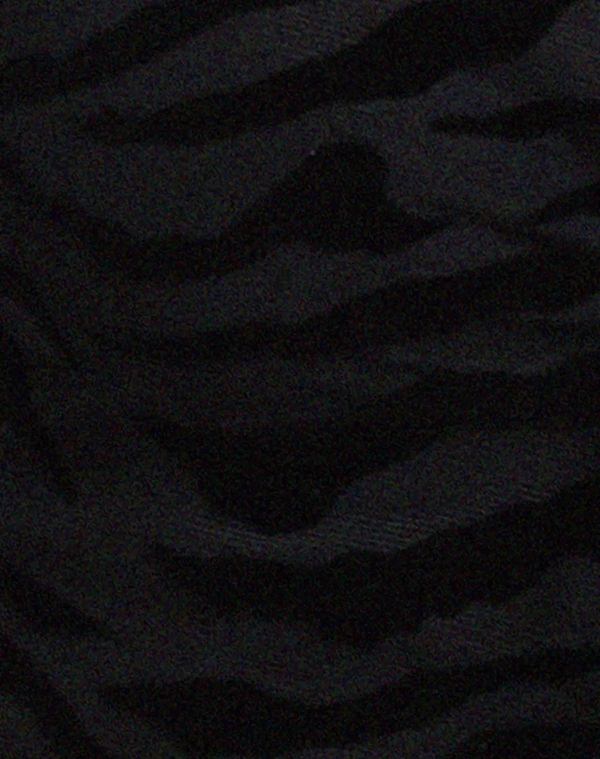 Rayu Top In Zebra Flock Black 5